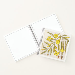 Cuaderno de dibujo de arte botánico de jazmín del