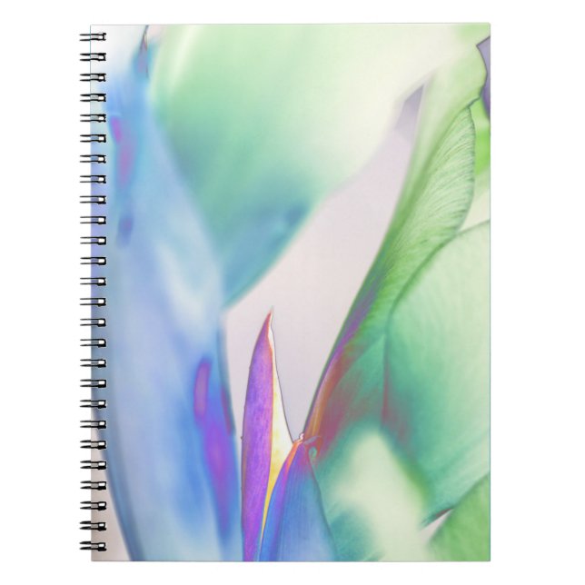 Cuaderno de diseño floral "Abrazando la soledad" (Frente)