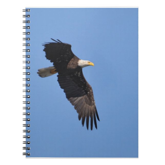 Cuaderno de Eagle (Frente)
