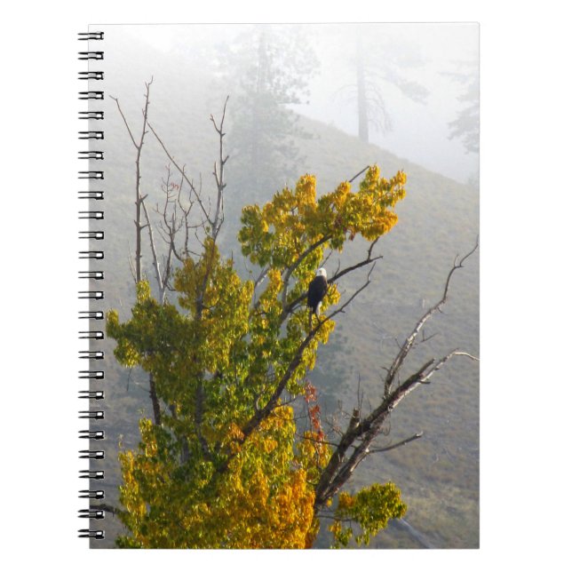 Cuaderno de Eagle (Frente)