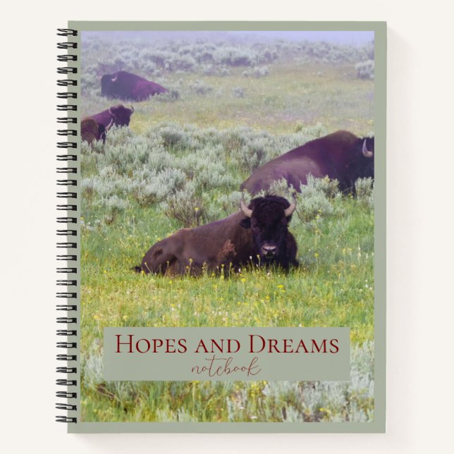 Cuaderno de Esperanzas y Sueños (Anverso)