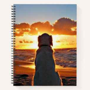 Cuaderno de espiral de 8.5" x 11"