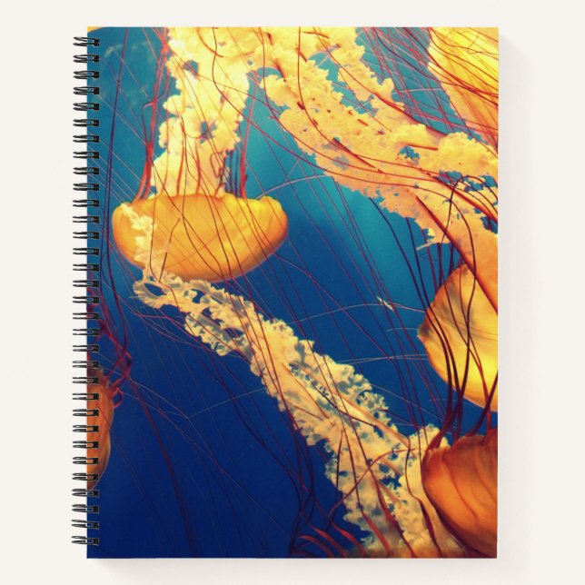 Cuaderno de espiral de 8.5" x 11" (Anverso)
