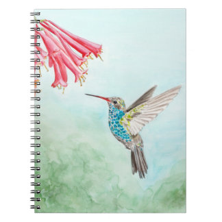 cuaderno de espiral de colibrí