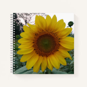 Cuaderno de espiral de lujo 8.5x8.5 con arte de gi