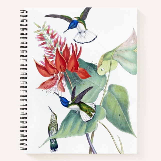 Cuaderno de espiral floral de aves Hummingbird (Anverso)