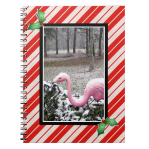 Cuaderno de Flamenco de Fiesta