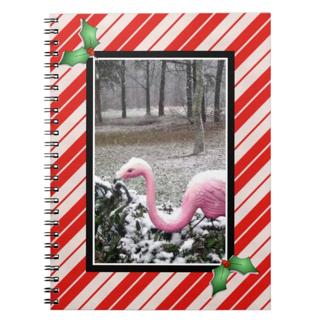 Cuaderno de Flamenco de Fiesta (Frente)