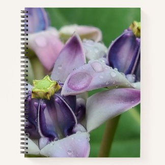 Cuaderno de Flor de Corona Púrpura