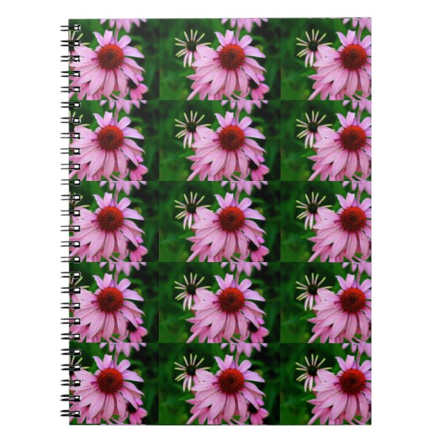 cuaderno de flor de equinácea (Frente)