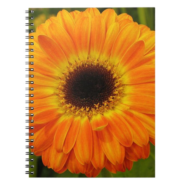 Cuaderno de Flor de Naranja (Frente)