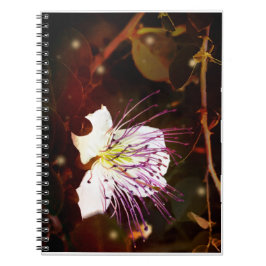 Cuaderno de flores de alcaparra vintage soñador de