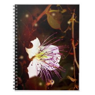 Cuaderno de flores de alcaparra vintage soñador de