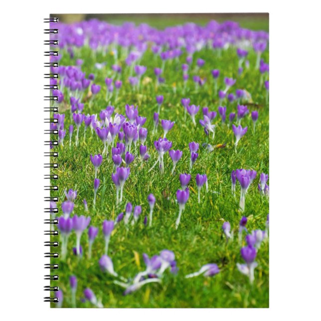 Cuaderno de flores de cruces morados (Frente)