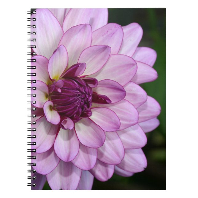 Cuaderno de flores de dahlia morada (Frente)