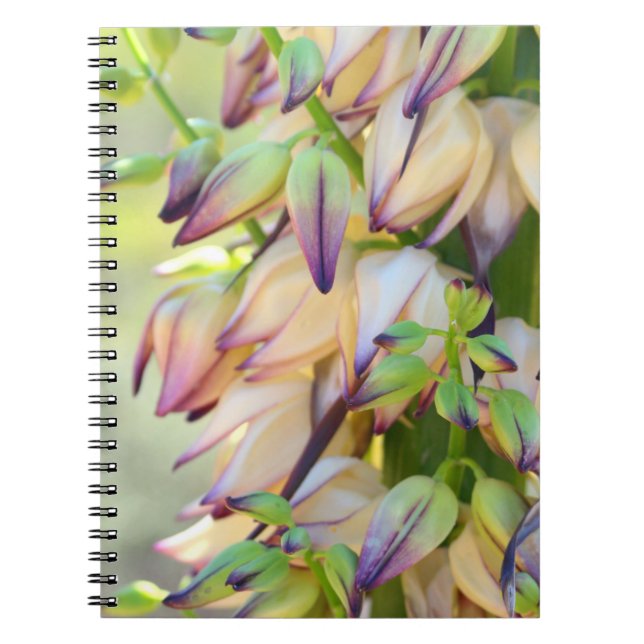 cuaderno de flores de yucca (Frente)