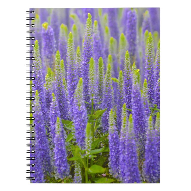 Cuaderno de flores moradas (Frente)
