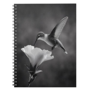 Cuaderno de flores para beber Hummingbird
