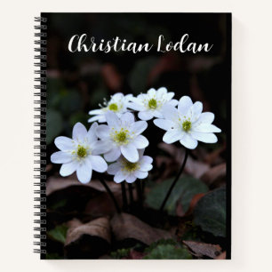 Cuaderno de flores silvestres Watercolor Field