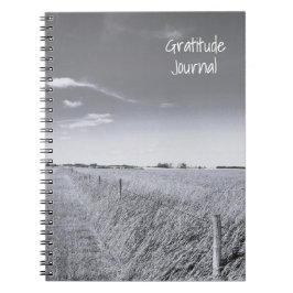 Cuaderno de foto espiral de campo de pintura gris