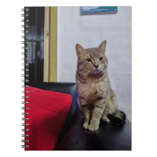 Cuaderno de fotos 16,5 x 22 cm; 80 paginas