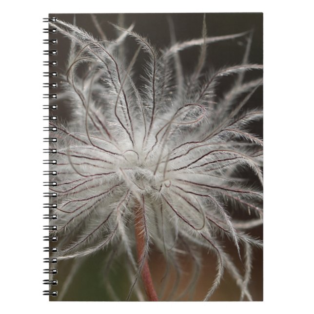 Cuaderno de Fotos (80 Páginas B&W) (Frente)