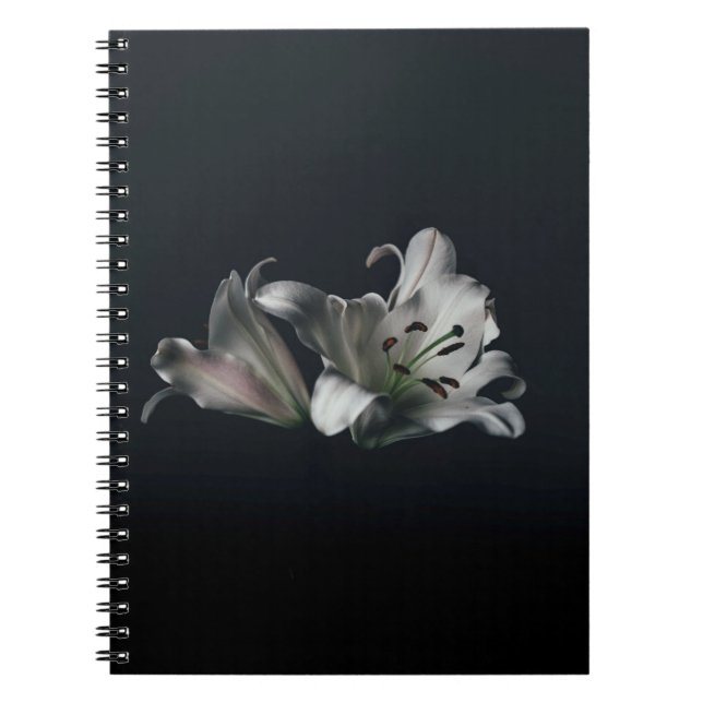 Cuaderno de Fotos (80 Páginas B&W) (Frente)