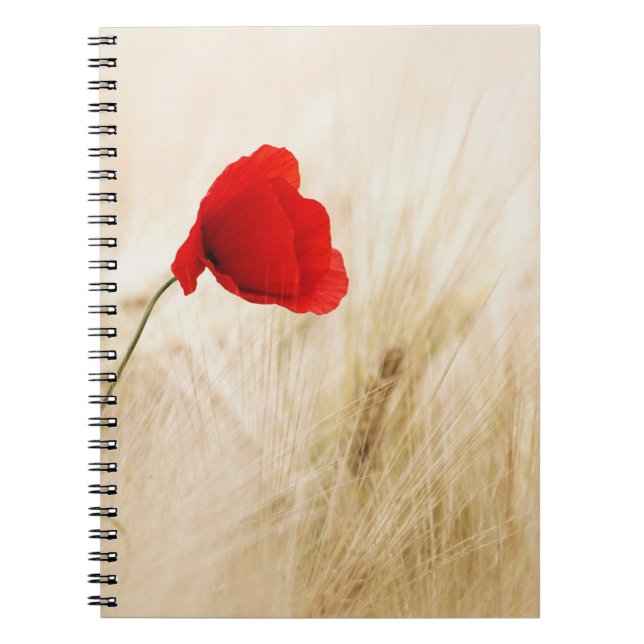 Cuaderno de Fotos (80 Páginas B&W) (Frente)