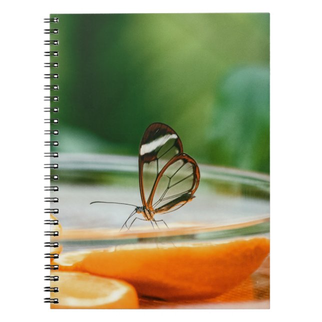 Cuaderno de Fotos (80 Páginas B&W) (Frente)