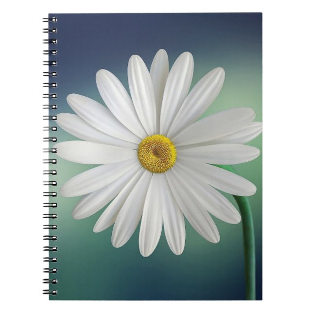 Cuaderno de Fotos (80 Páginas B&W) (Frente)