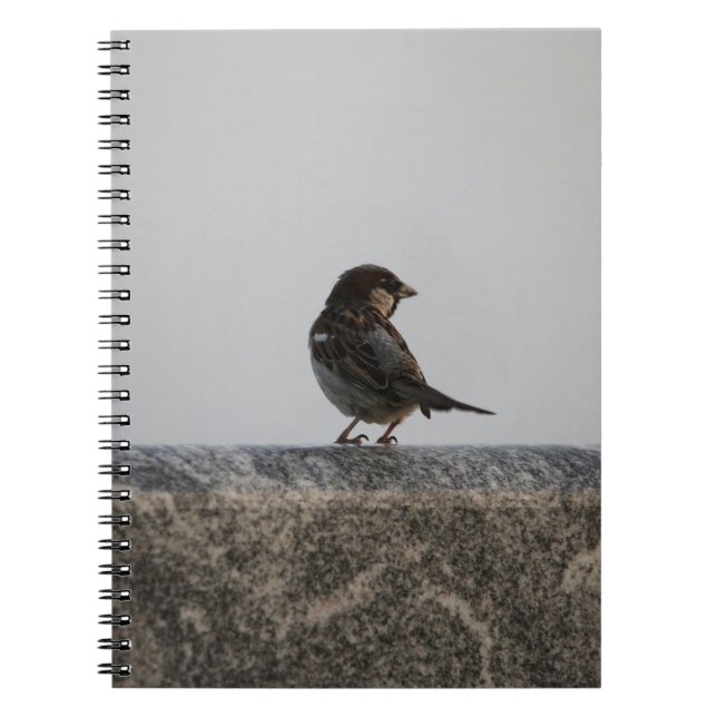 Cuaderno de Fotos (80 Páginas B&W) (Frente)