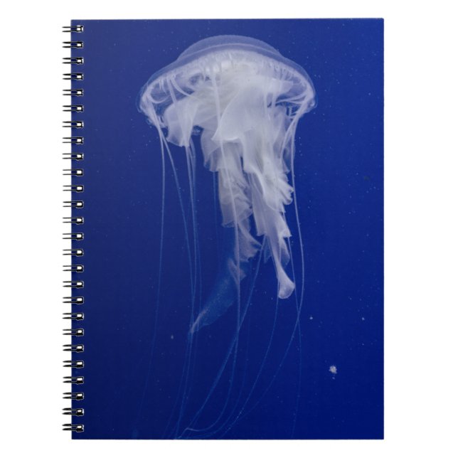 Cuaderno de Fotos (80 Páginas B&W) (Frente)