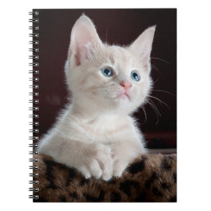 Cuaderno de Fotos (80 Páginas B&W)