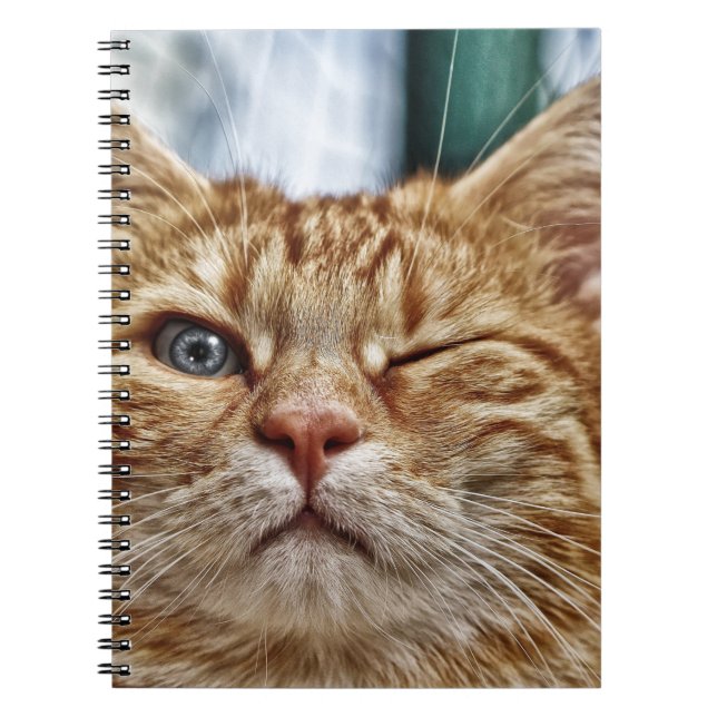 Cuaderno de Fotos (80 Páginas B&W) (Frente)