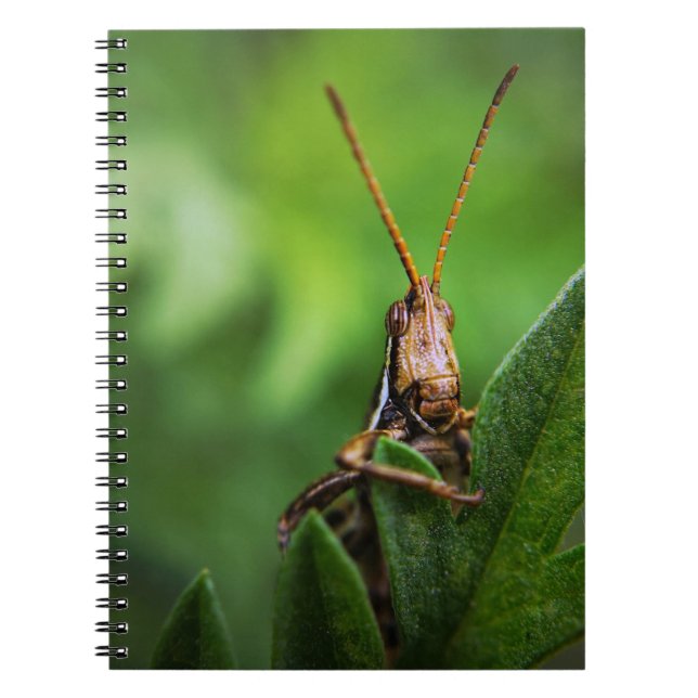Cuaderno de Fotos (80 Páginas B&W) (Frente)