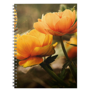 Cuaderno de Fotos (80 Páginas B&W)