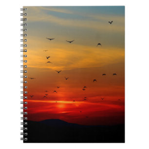 Cuaderno de Fotos (80 Páginas B&W)