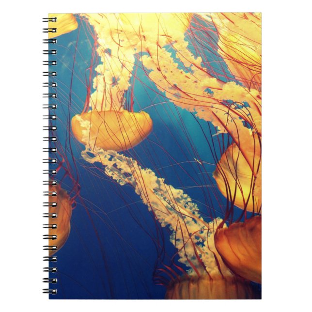 Cuaderno de Fotos (80 Páginas B&W) (Frente)