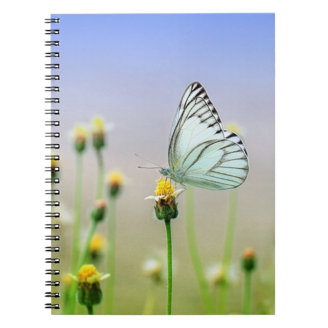 Cuaderno de Fotos (80 Páginas B&W) (Frente)