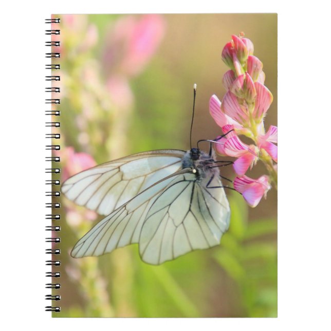 Cuaderno de Fotos (80 Páginas B&W) (Frente)