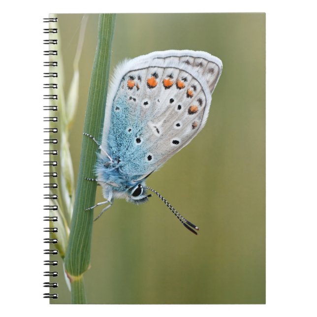 Cuaderno de Fotos (80 Páginas B&W) (Frente)