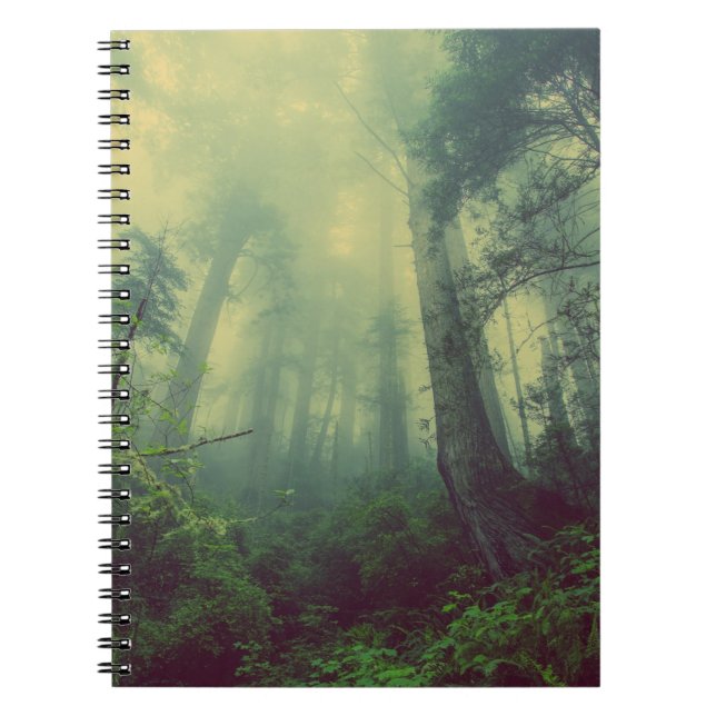 Cuaderno de Fotos (80 Páginas B&W) (Frente)
