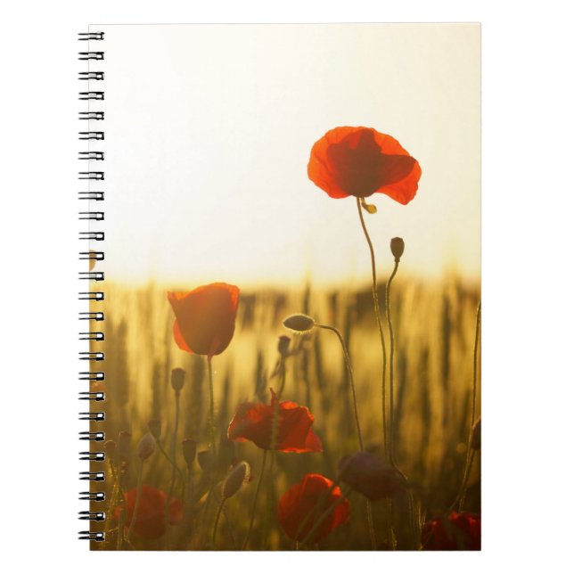 Cuaderno de Fotos (80 Páginas B&W) (Frente)