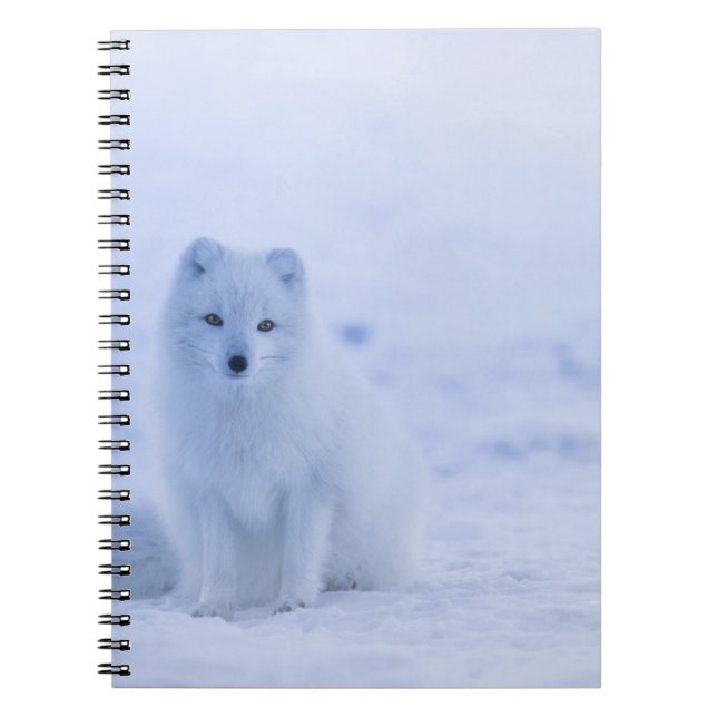 Cuaderno de Fotos (80 Páginas B&W) (Frente)
