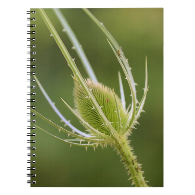 Cuaderno de Fotos (80 Páginas B&W) (Frente)