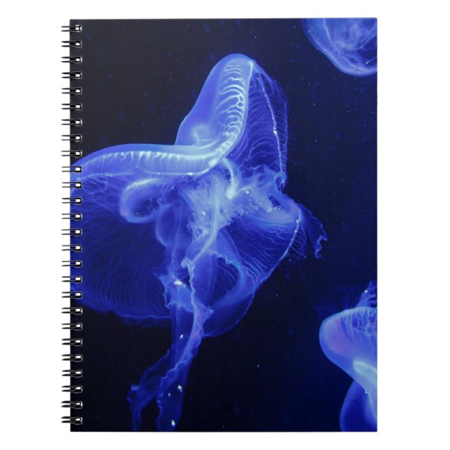 Cuaderno de Fotos (80 Páginas B&W) (Frente)