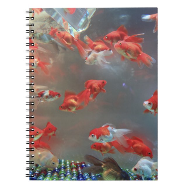 Cuaderno de Fotos (80 Páginas B&W) (Frente)