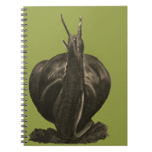 Cuaderno de fotos de dibujo de caracol (80 páginas