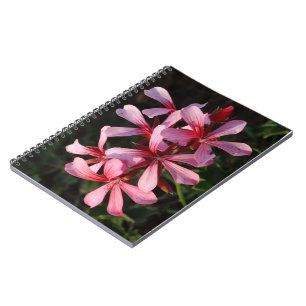 Cuaderno de Fotos de Flores Rosadas (80 Páginas B&