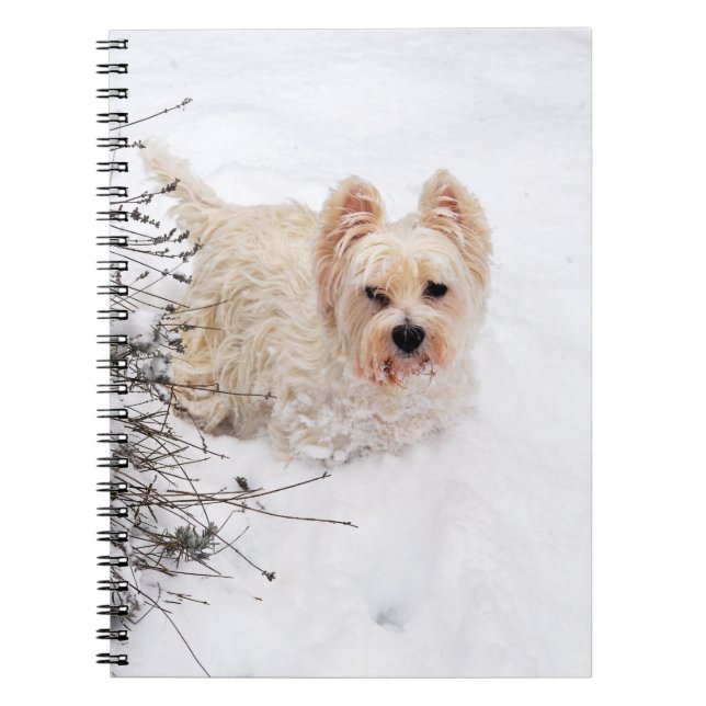 Cuaderno de fotos de perro Westie Blanco de Nieves (Frente)